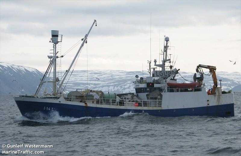 midoey viking (Fishing Vessel) - IMO 7812878, MMSI 257465500, Call Sign LGUP under the flag of Norway