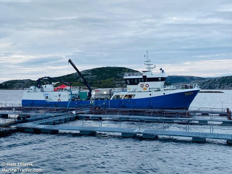 havoern (Fish Carrier) - IMO 9108324, MMSI 259199000, Call Sign LHGV under the flag of Norway