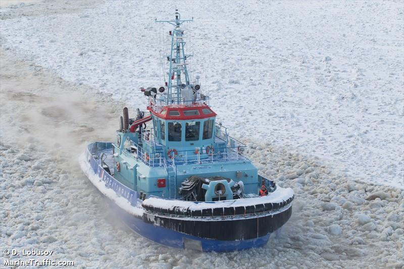 tambey (Tug) - IMO 9803376, MMSI 273389540, Call Sign UAIY under the flag of Russia