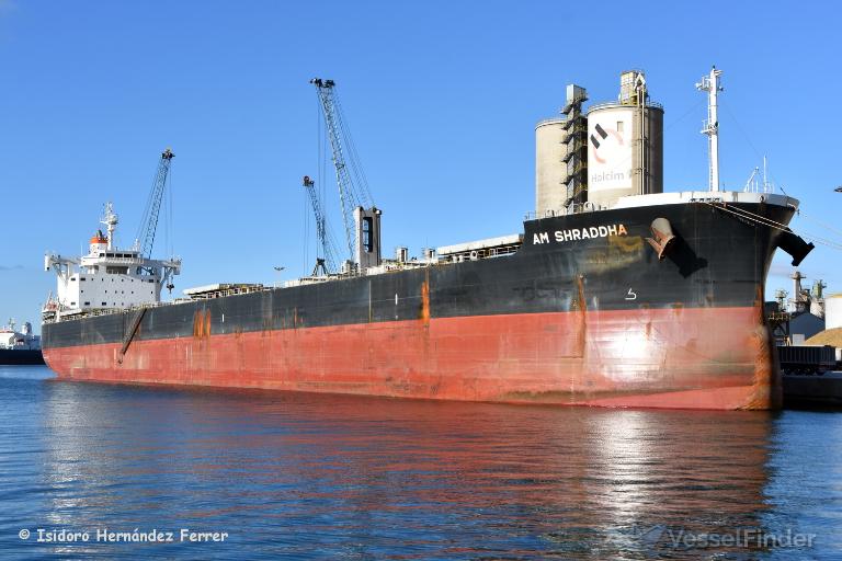 am shraddha (Bulk Carrier) - IMO 9837004, MMSI 353698000, Call Sign 3FXV6 under the flag of Panama