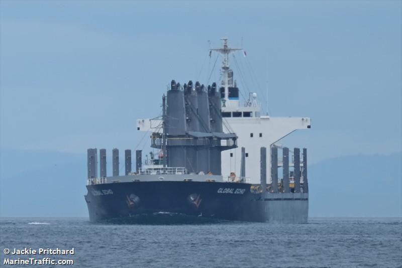 global echo (Bulk Carrier) - IMO 9633288, MMSI 373900000, Call Sign 3FBK5 under the flag of Panama