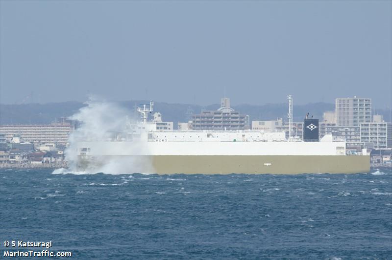 nichiharu maru (Ro-Ro Cargo Ship) - IMO 9805893, MMSI 431011629, Call Sign JD4389 under the flag of Japan