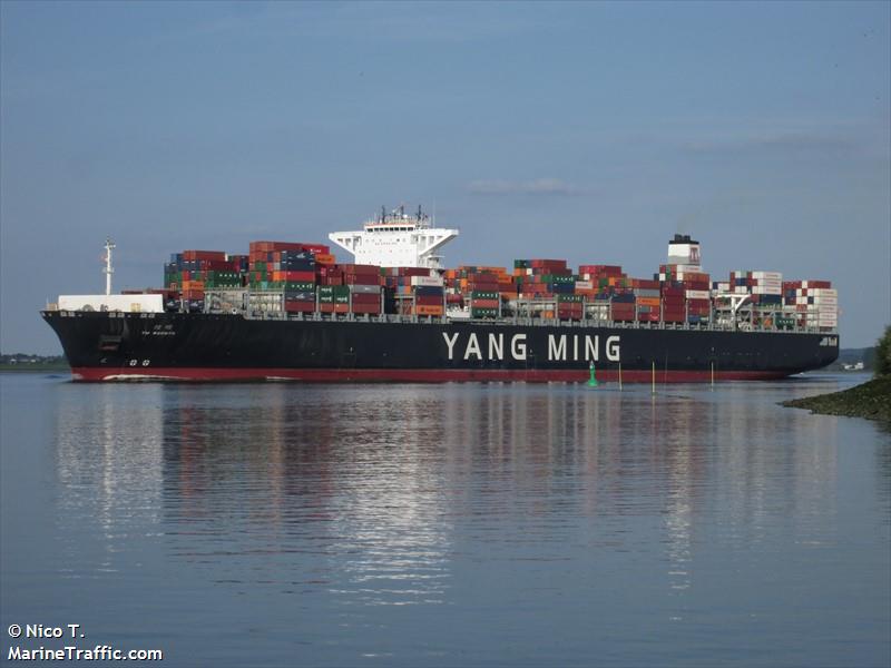 ym warmth (Container Ship) - IMO 9704647, MMSI 477948800, Call Sign VROO5 under the flag of Hong Kong