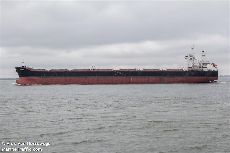 orpheus (Bulk Carrier) - IMO 9646675, MMSI 636017782, Call Sign D5MR7 under the flag of Liberia