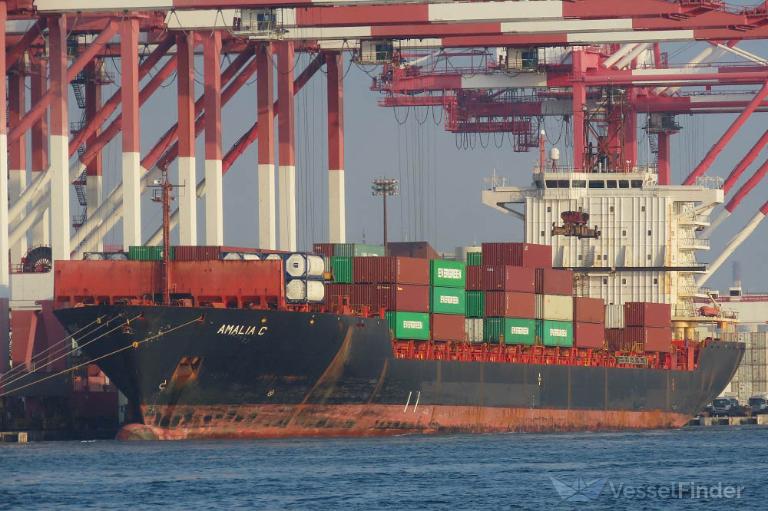 amalia c (Container Ship) - IMO 9166649, MMSI 229445000, Call Sign 9HA3333 under the flag of Malta