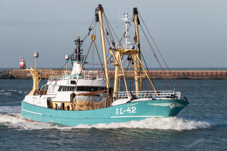jan cornelis 3 sl-42 (Fishing Vessel) - IMO 9056155, MMSI 246054000, Call Sign PCRJ under the flag of Netherlands