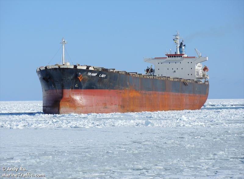 tramp lady (Bulk Carrier) - IMO 9286621, MMSI 248110000, Call Sign 9HA4520 under the flag of Malta