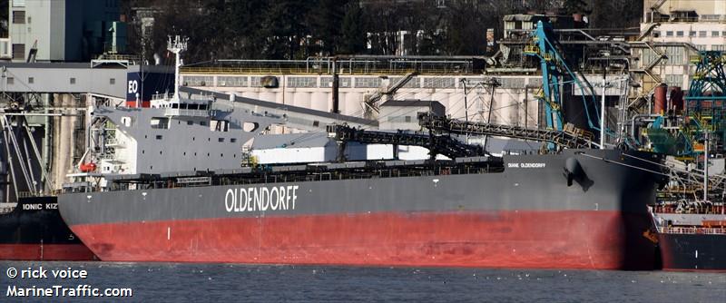 diane oldendorff (Bulk Carrier) - IMO 9860362, MMSI 255806324, Call Sign CQEA2 under the flag of Madeira