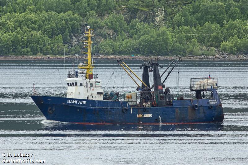 vaigale (Fishing Vessel) - IMO 8228787, MMSI 273432860, Call Sign UDNW under the flag of Russia