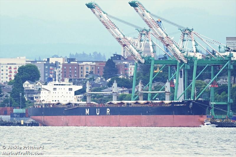 african raptor (Bulk Carrier) - IMO 9727405, MMSI 311000342, Call Sign C6BR4 under the flag of Bahamas