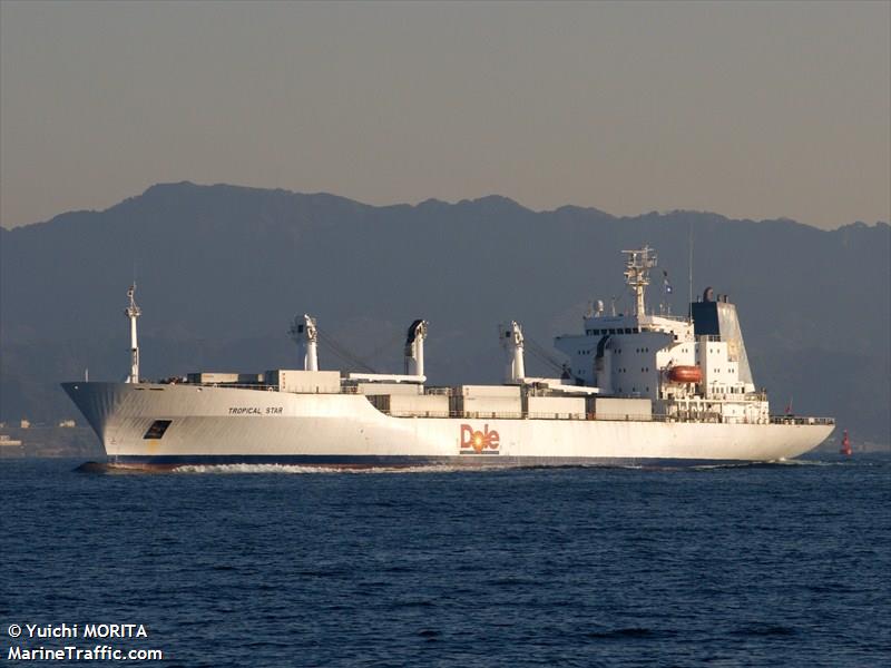 mv tropical star (Refrigerated Cargo Ship) - IMO 8408894, MMSI 311087000, Call Sign C6FR8 under the flag of Bahamas