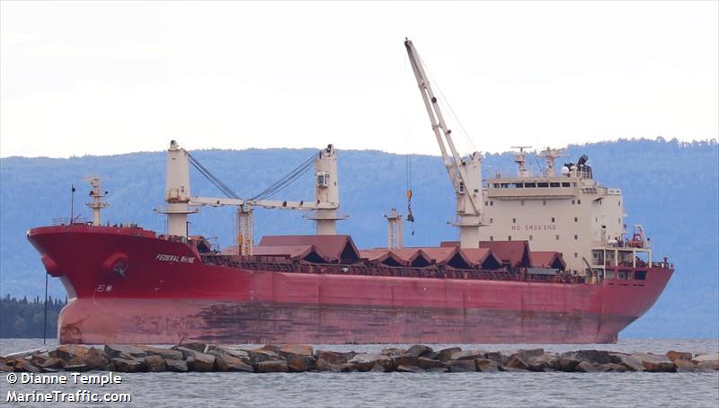 janki (Bulk Carrier) - IMO 9110925, MMSI 314076000, Call Sign 8PNZ under the flag of Barbados