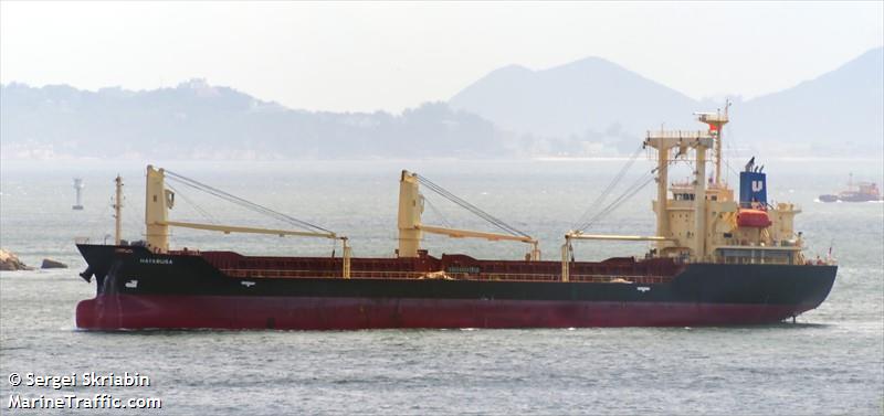hayabusa (General Cargo Ship) - IMO 9616008, MMSI 354787000, Call Sign 3FQL8 under the flag of Panama