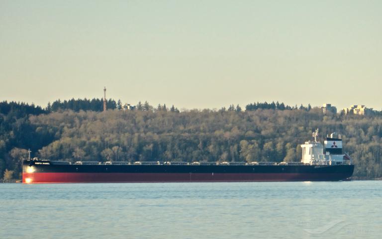 santa isabel (Bulk Carrier) - IMO 9827372, MMSI 354968000, Call Sign H3ZE under the flag of Panama