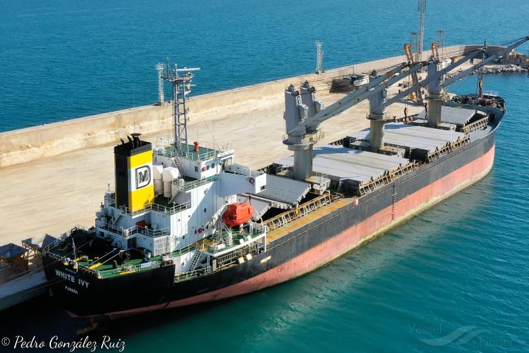 white ivy (Bulk Carrier) - IMO 9370393, MMSI 370126000, Call Sign 3ERP4 under the flag of Panama