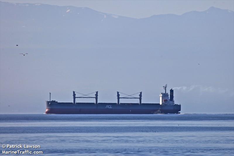sara star (Container Ship) - IMO 9129471, MMSI 370288000, Call Sign 3FTD9 under the flag of Panama