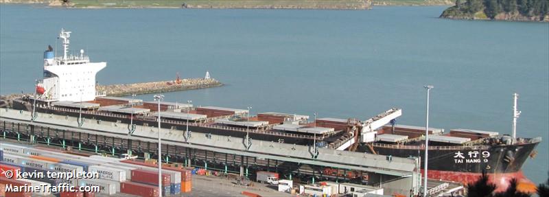 tai hang 9 (Bulk Carrier) - IMO 9193850, MMSI 413978000, Call Sign BOFE6 under the flag of China