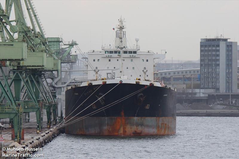 artavand (Bulk Carrier) - IMO 9193214, MMSI 422040800, Call Sign EPCB5 under the flag of Iran