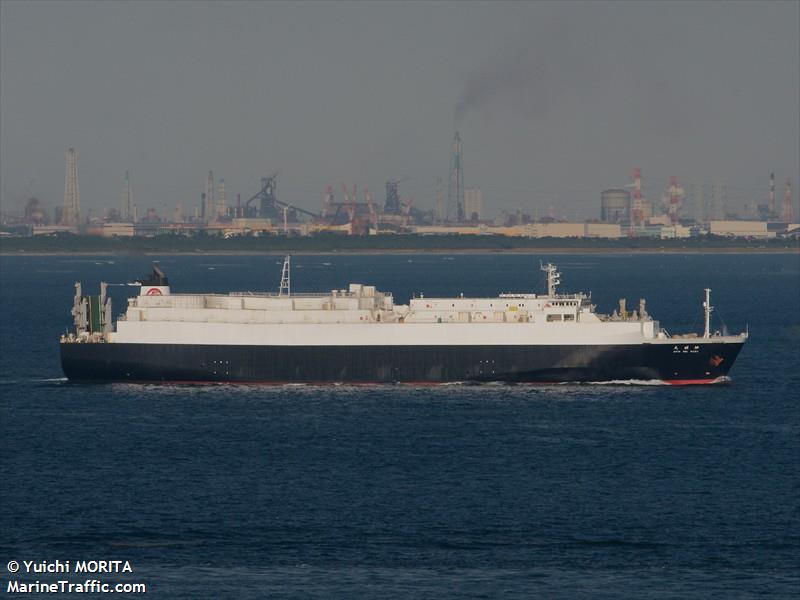 shin mei maru (Ro-Ro Cargo Ship) - IMO 9234185, MMSI 431100922, Call Sign JG5617 under the flag of Japan
