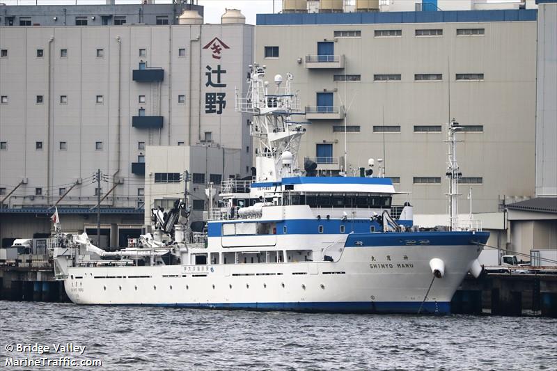 shinyo maru (Training Ship) - IMO 9767675, MMSI 431328000, Call Sign 7JVV under the flag of Japan