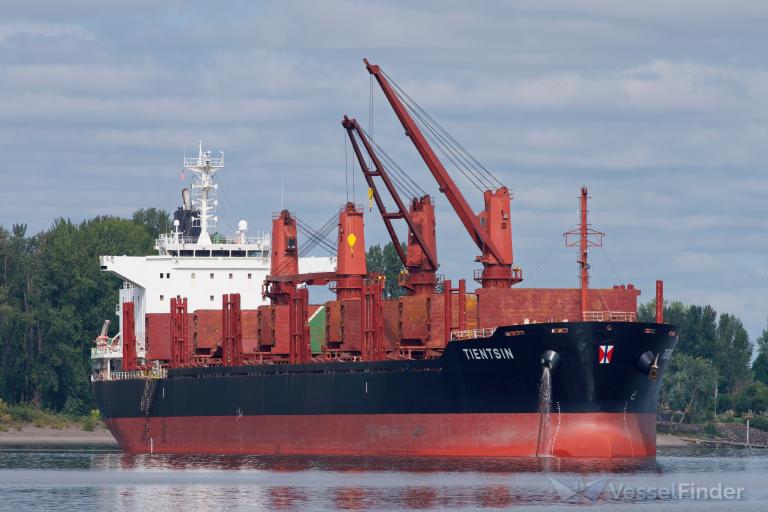 tientsin (Bulk Carrier) - IMO 9768930, MMSI 477913300, Call Sign VRPZ5 under the flag of Hong Kong