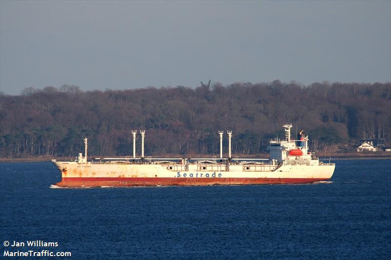 golden bridge (Cargo ship) - IMO , MMSI 636018500, Call Sign D5AE2 under the flag of Liberia