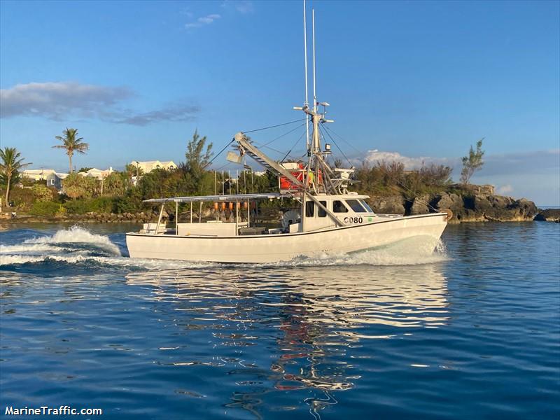 albacore (Fishing vessel) - IMO , MMSI 310996821, Call Sign ZFU6821 under the flag of Bermuda