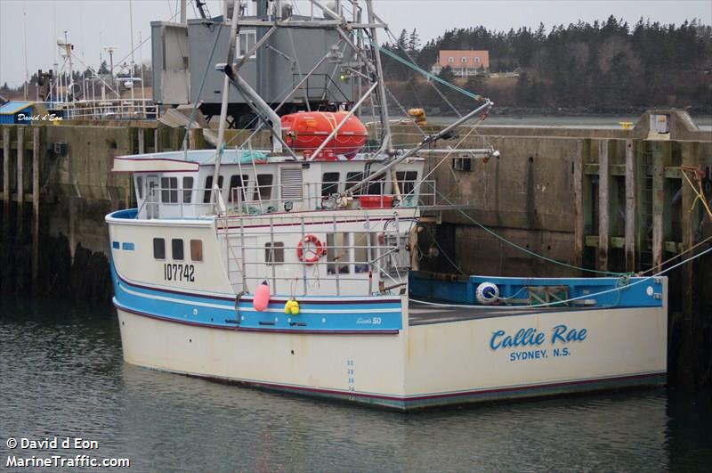 callie rae (Fishing vessel) - IMO , MMSI 316021629, Call Sign CH 16 under the flag of Canada