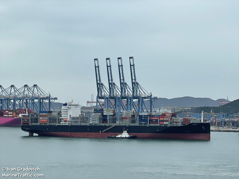 pelion (Container Ship) - IMO 9967407, MMSI 636022903, Call Sign 5LKZ5 under the flag of Liberia