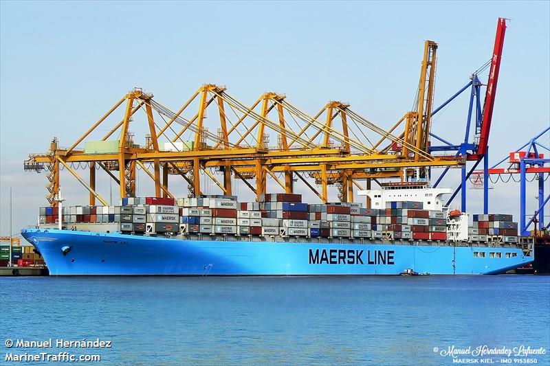 msc giovanna vii (Container Ship) - IMO 9153850, MMSI 636022942, Call Sign 5LLE3 under the flag of Liberia