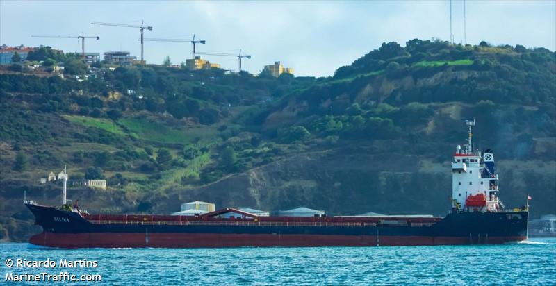 celik 1 (General Cargo Ship) - IMO 9430791, MMSI 636023014, Call Sign 5LLN5 under the flag of Liberia