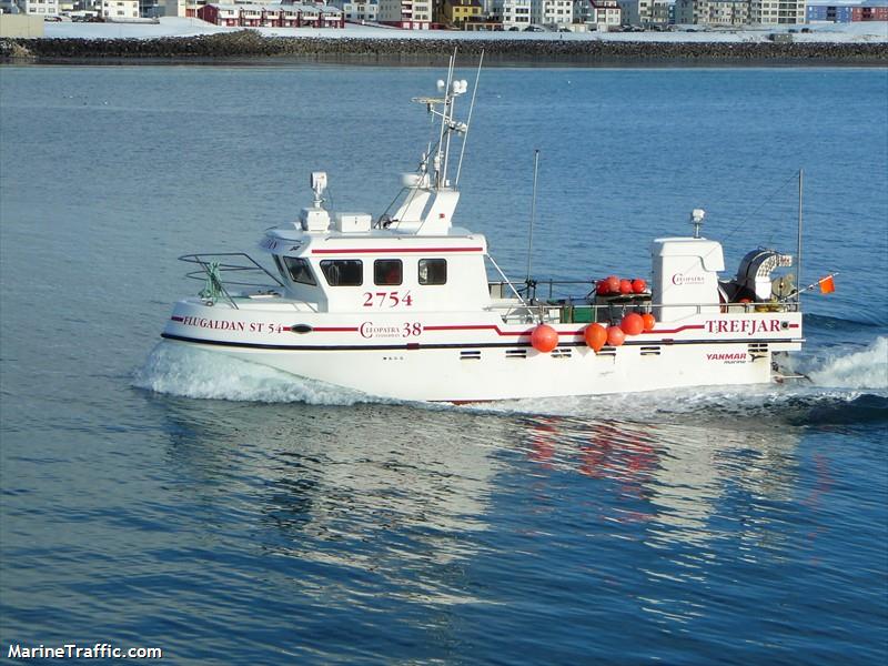 skuli (Fishing vessel) - IMO , MMSI 251544000, Call Sign TFGL under the flag of Iceland