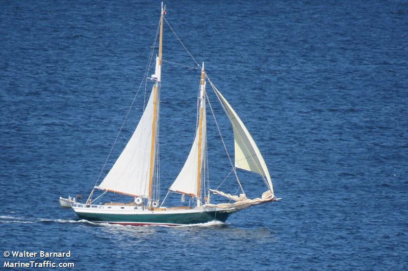 nevada faye (Sailing vessel) - IMO , MMSI 211545310, Call Sign DMNK under the flag of Germany