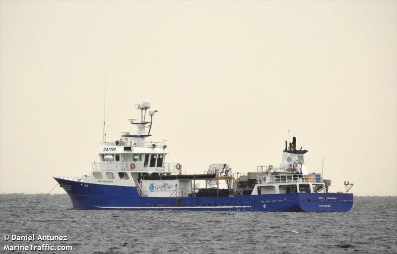 grip patagonia (Fish Carrier) - IMO 9255036, MMSI 725003185, Call Sign CA7780 under the flag of Chile