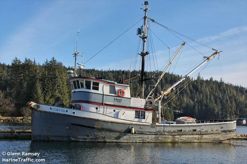 corvid (Fishing vessel) - IMO , MMSI 338157054 under the flag of USA