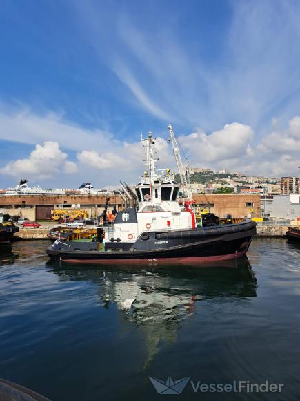 tarentum (Tug) - IMO 9901764, MMSI 247444500, Call Sign INYL2 under the flag of Italy