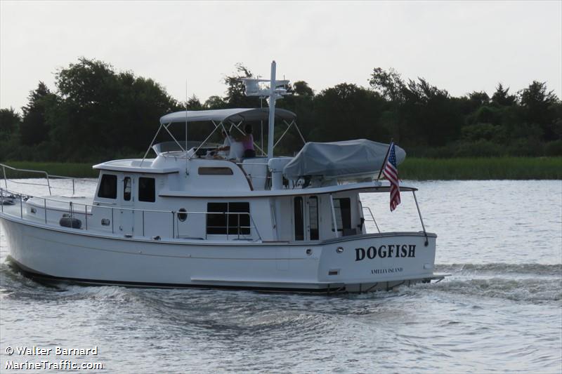 dogfish (Pleasure craft) - IMO , MMSI 338478112 under the flag of USA