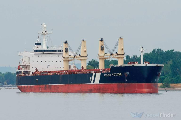 ocean future (Bulk Carrier) - IMO 9418779, MMSI 248208000, Call Sign 9HA4560 under the flag of Malta