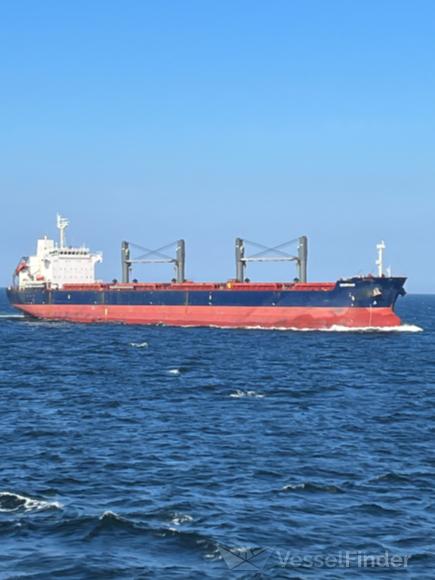 cebihan (Bulk Carrier) - IMO 9504308, MMSI 255806241, Call Sign CQAP7 under the flag of Madeira