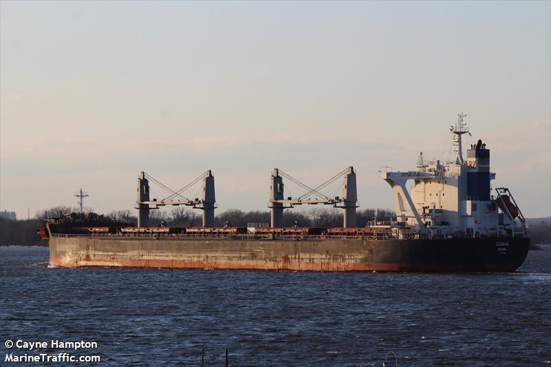 curia (Bulk Carrier) - IMO 9710048, MMSI 269056000, Call Sign HBLM under the flag of Switzerland
