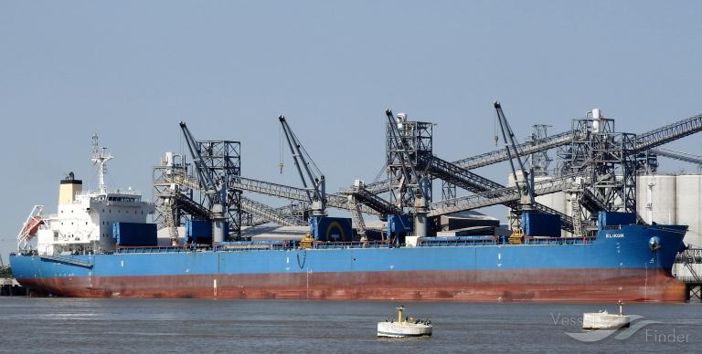 elikon (Bulk Carrier) - IMO 9601170, MMSI 311000081, Call Sign C6AL6 under the flag of Bahamas