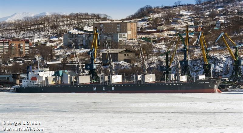 african egret (Bulk Carrier) - IMO 9749996, MMSI 311000566, Call Sign C6CT2 under the flag of Bahamas