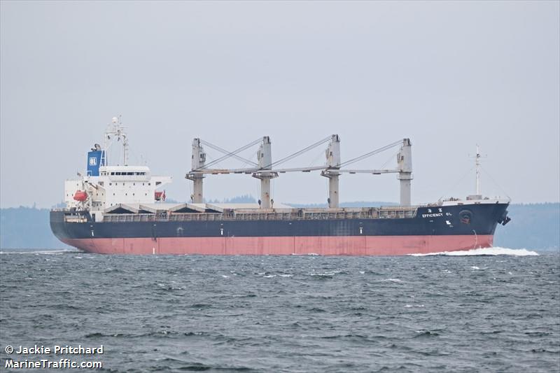 efficiency ol (General Cargo Ship) - IMO 9491666, MMSI 372967000, Call Sign 3FRJ3 under the flag of Panama
