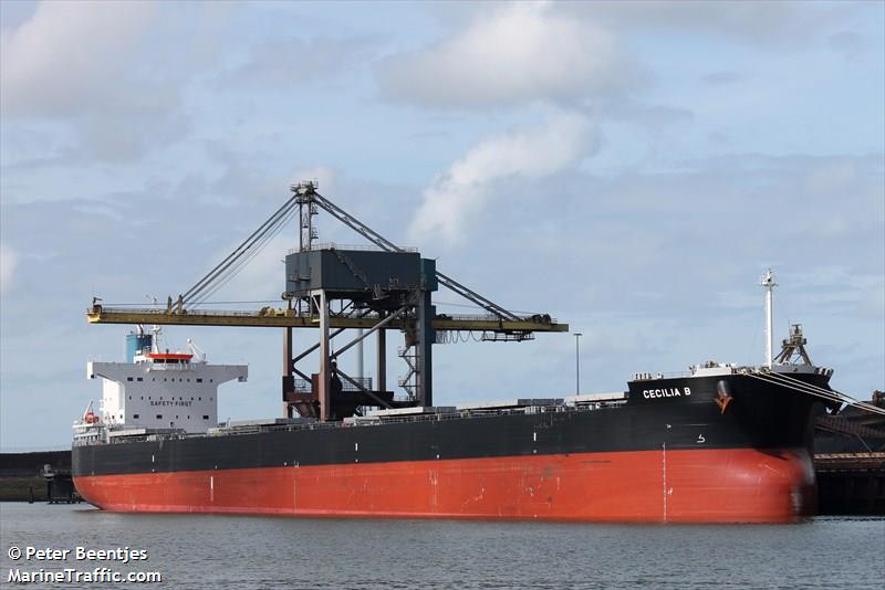 cecilia b (Bulk Carrier) - IMO 9582489, MMSI 373352000, Call Sign 3FEB6 under the flag of Panama