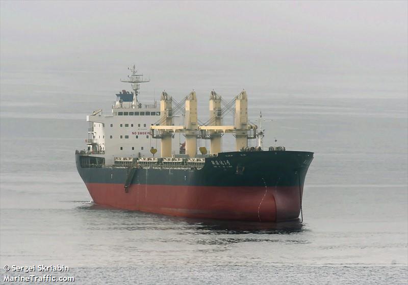 lian yi da 1 hao (Bulk Carrier) - IMO 9586930, MMSI 413221770, Call Sign BMVR under the flag of China