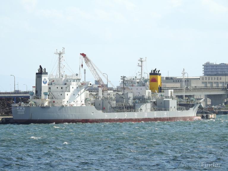 hanyo maru (Cement Carrier) - IMO 9690561, MMSI 431005156, Call Sign JD3622 under the flag of Japan