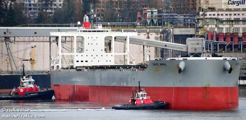 cape amal (Bulk Carrier) - IMO 9820879, MMSI 431936000, Call Sign 7KCZ under the flag of Japan