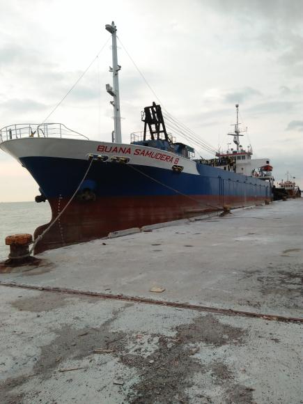 km.buana samudera 8 (Cargo ship) - IMO , MMSI 525023331, Call Sign JZWP under the flag of Indonesia