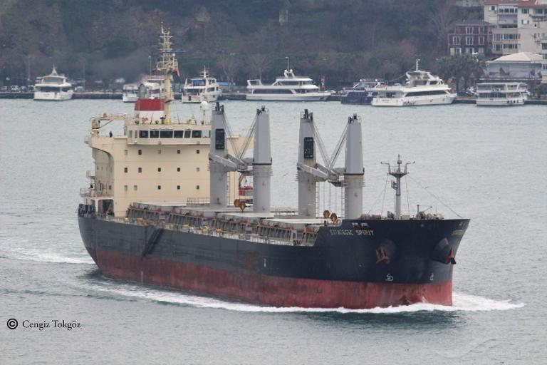 strategic spirit (Bulk Carrier) - IMO 9626388, MMSI 563049700, Call Sign 9V8673 under the flag of Singapore