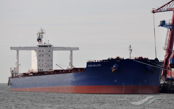 alpha gallant (Bulk Carrier) - IMO 9747871, MMSI 636017334, Call Sign D5KK5 under the flag of Liberia